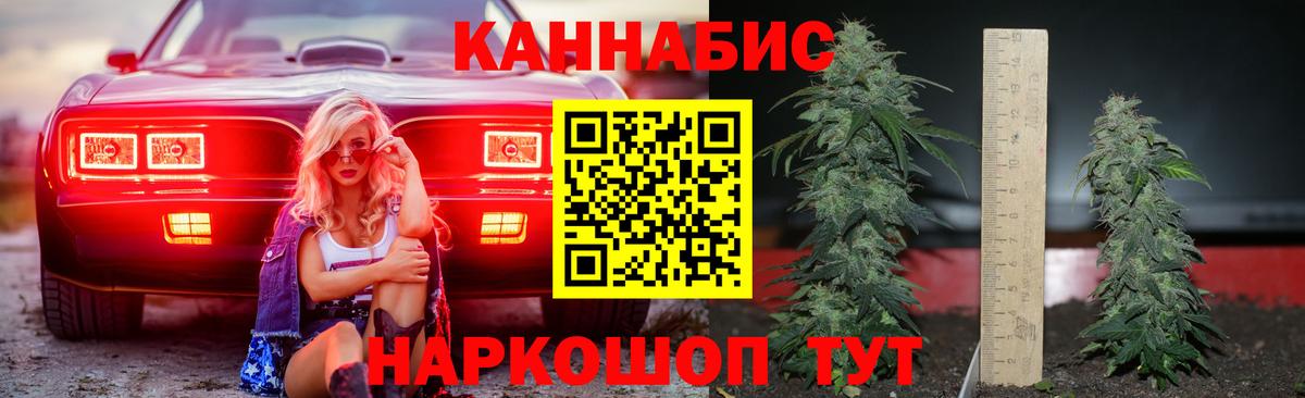 Бошки марихуана планчик  Конопля AK-47  Каннабис Bruce Banner  МАРИХУАНА конопля  Екатеринбург  Вход с VPN 